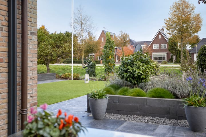 Foto 58 van Schelp 6