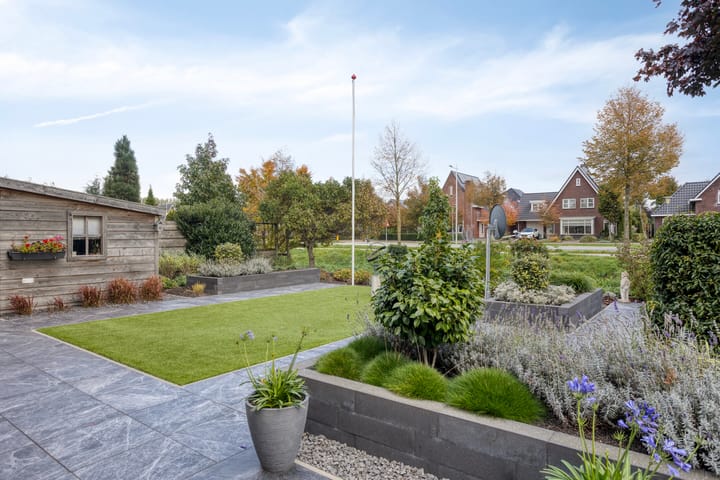 Foto 59 van Schelp 6