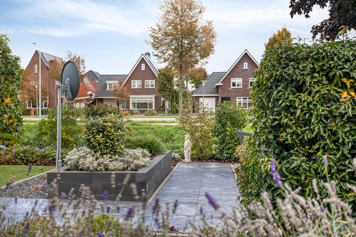 Foto 60 van Schelp 6