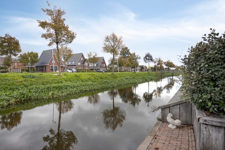 Foto 72 van Schelp 6