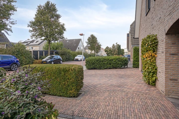 Foto 78 van Schelp 6