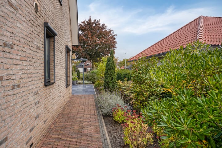 Foto 79 van Schelp 6