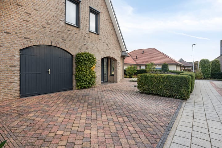 Foto 77 van Schelp 6