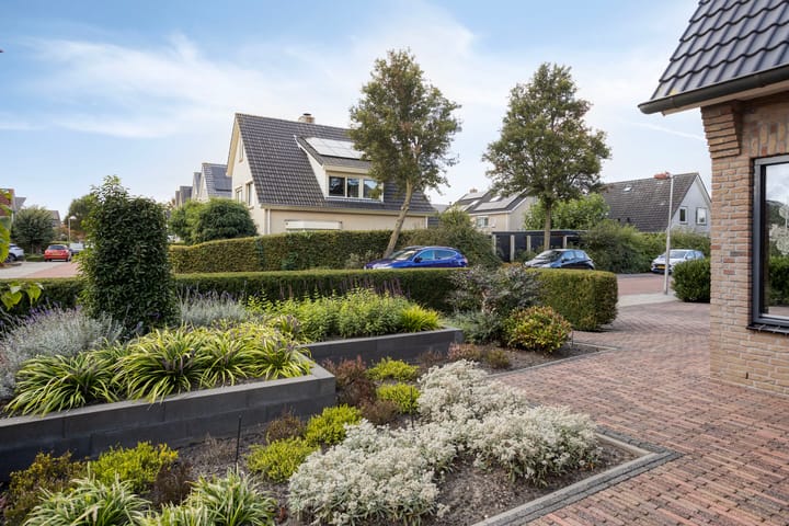 Foto 81 van Schelp 6