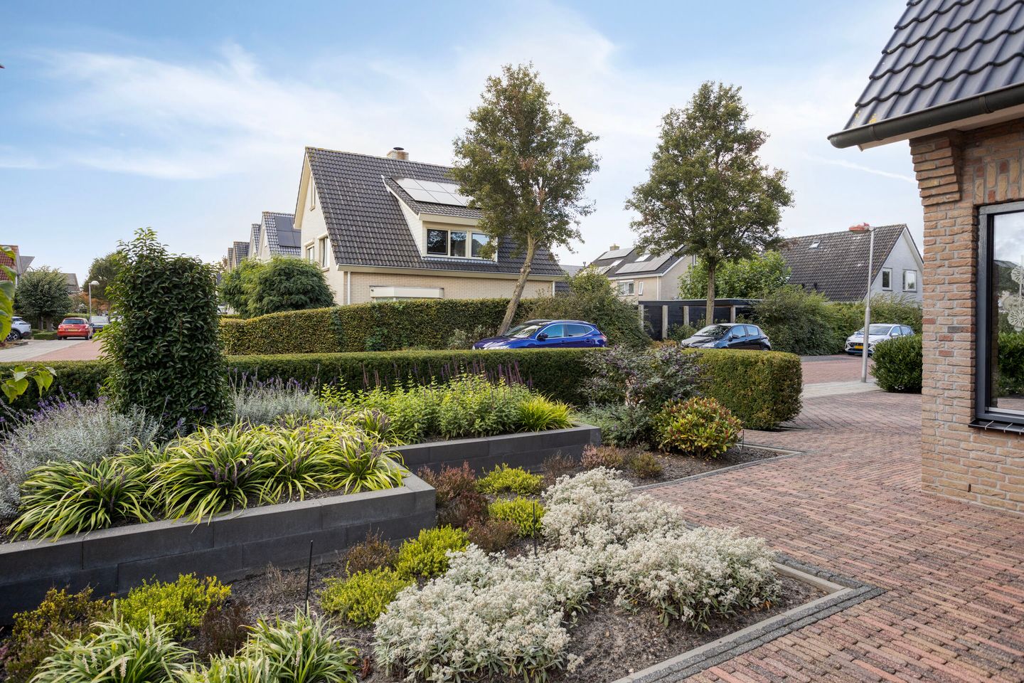 Foto 80 van Schelp 6