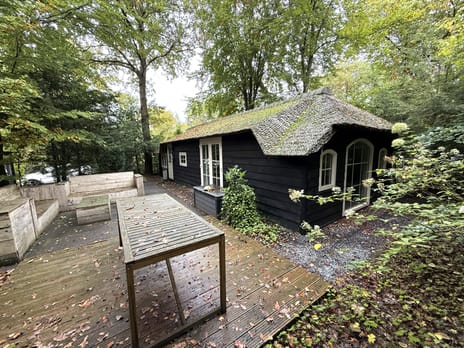 undefined main image