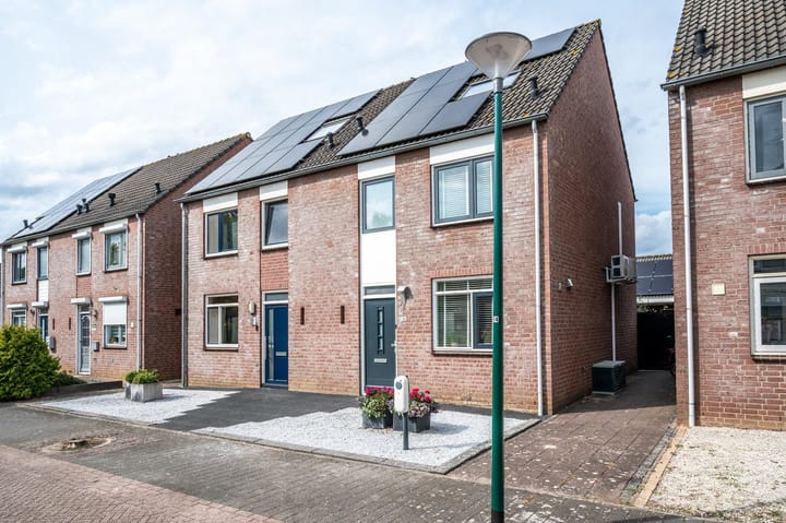 Foto 6 van Aronskelk 51