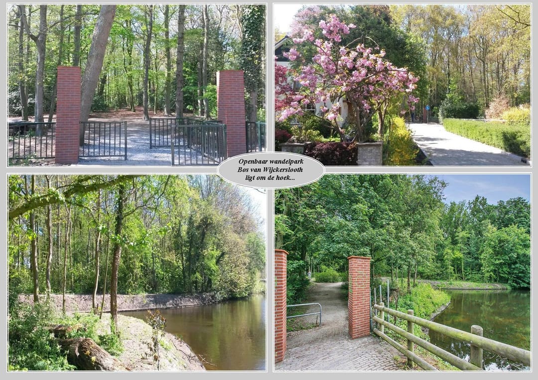 Photo 32 of Duinzichtstraat 12