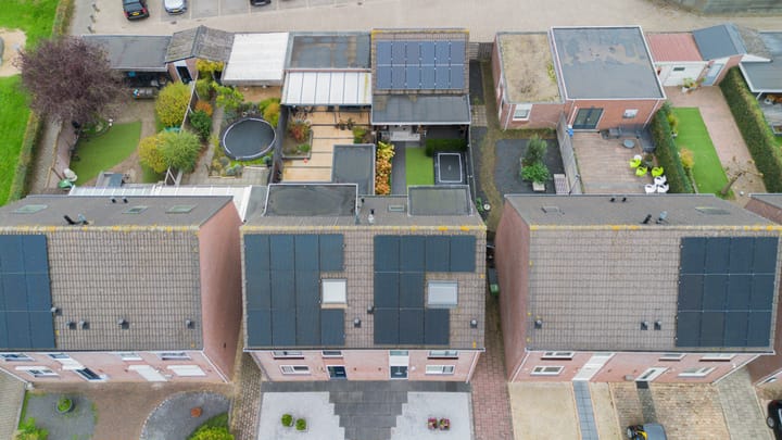 Foto 47 van Aronskelk 51