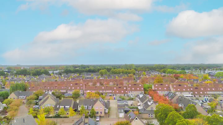 Foto 50 van Aronskelk 51