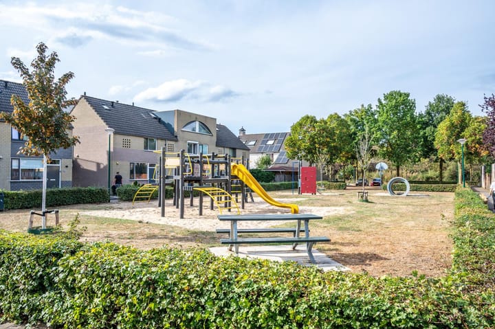 Foto 51 van Aronskelk 51