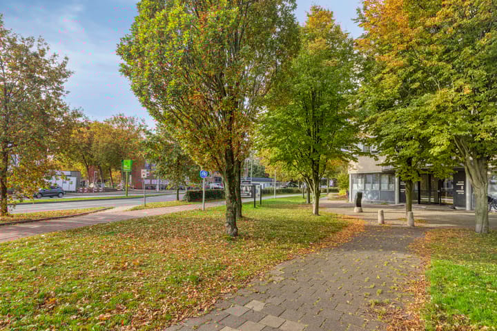 Photo 43 of Vincent van Goghweg 69