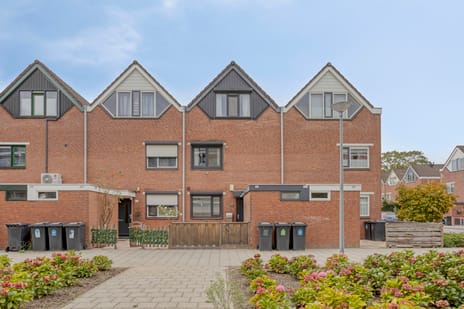 Bandeloodijk thumbnail