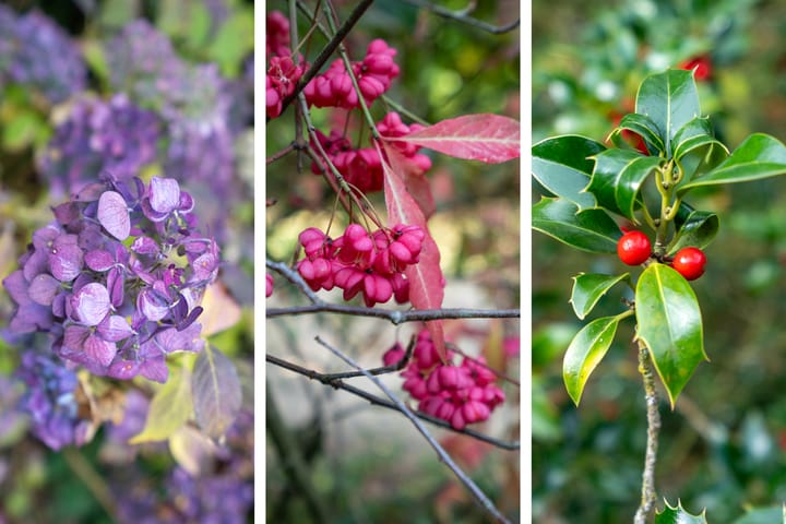 Photo 27 of Hof van Halenweg 2-37