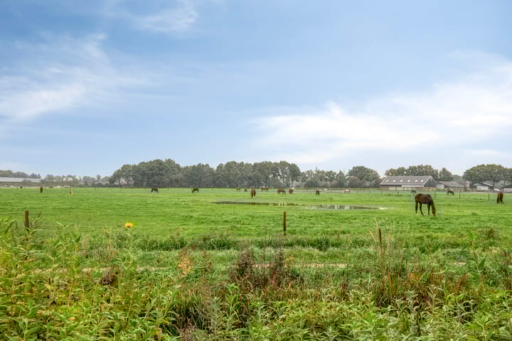 Foto 27 van Watersnipweide 23