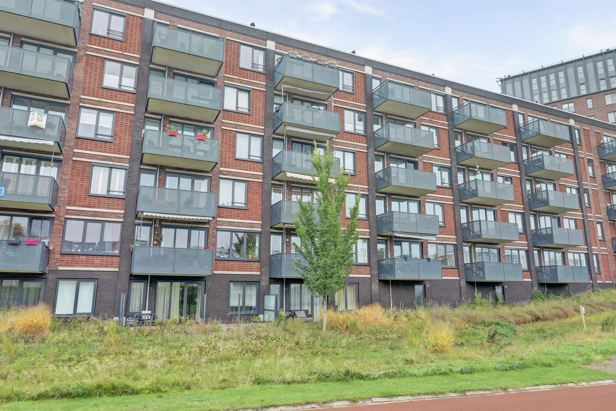 Photo 18 of Evenaar 55