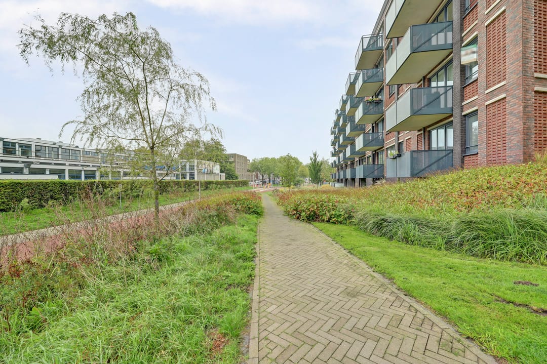Photo 22 of Evenaar 55