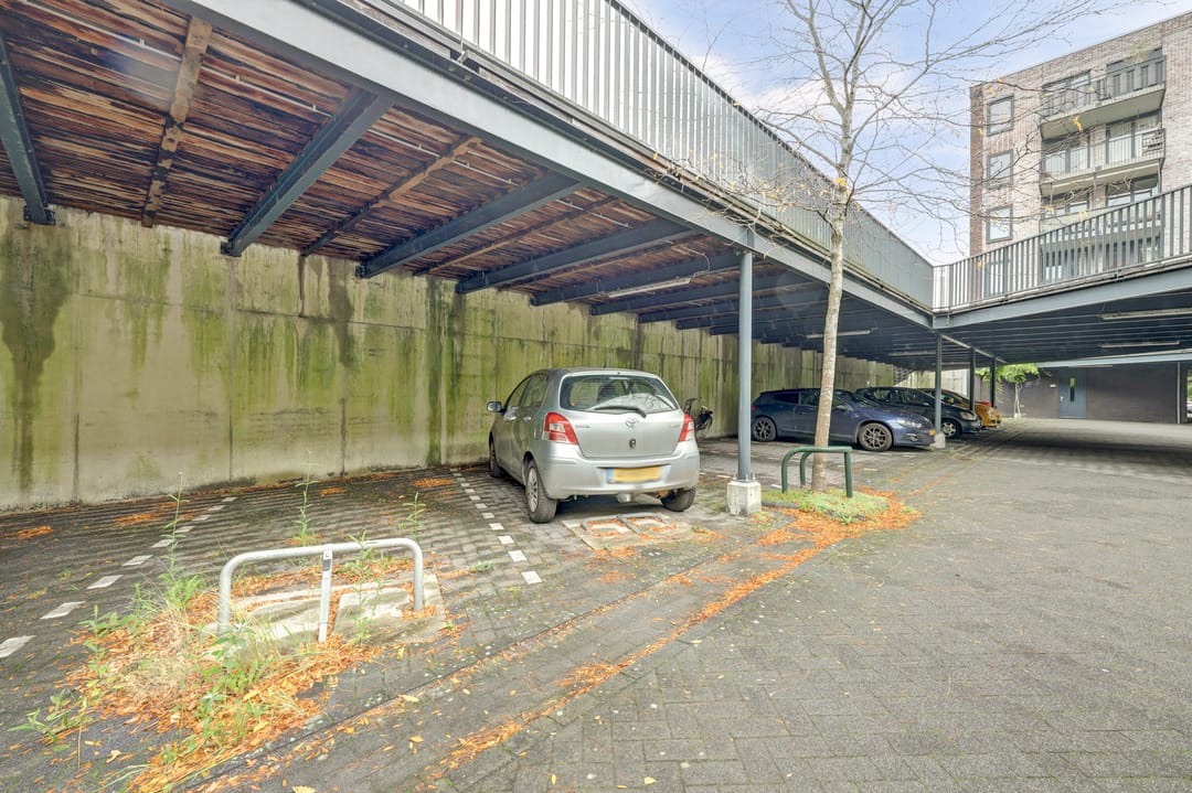 Photo 23 of Evenaar 55