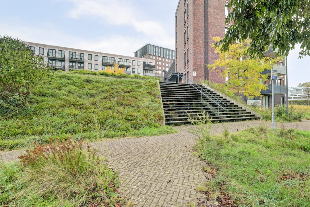 Photo 26 of Evenaar 55