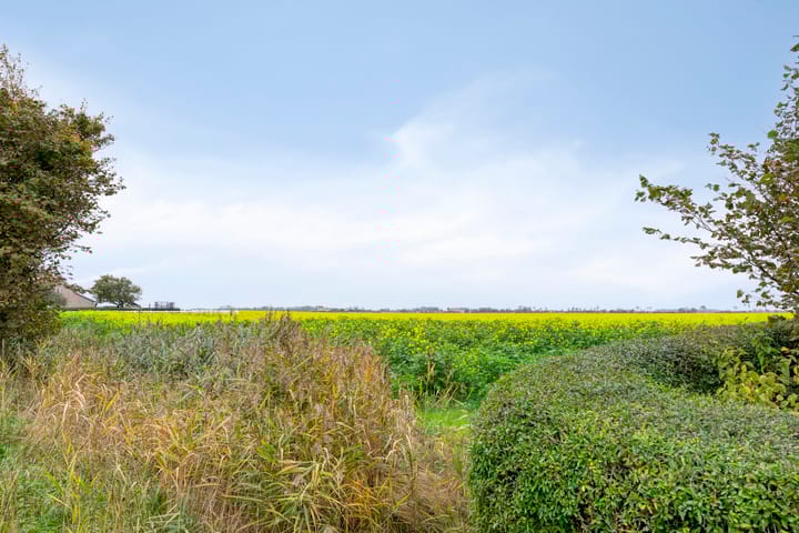 Foto 2 van Wilgenhoekweg 36-REC