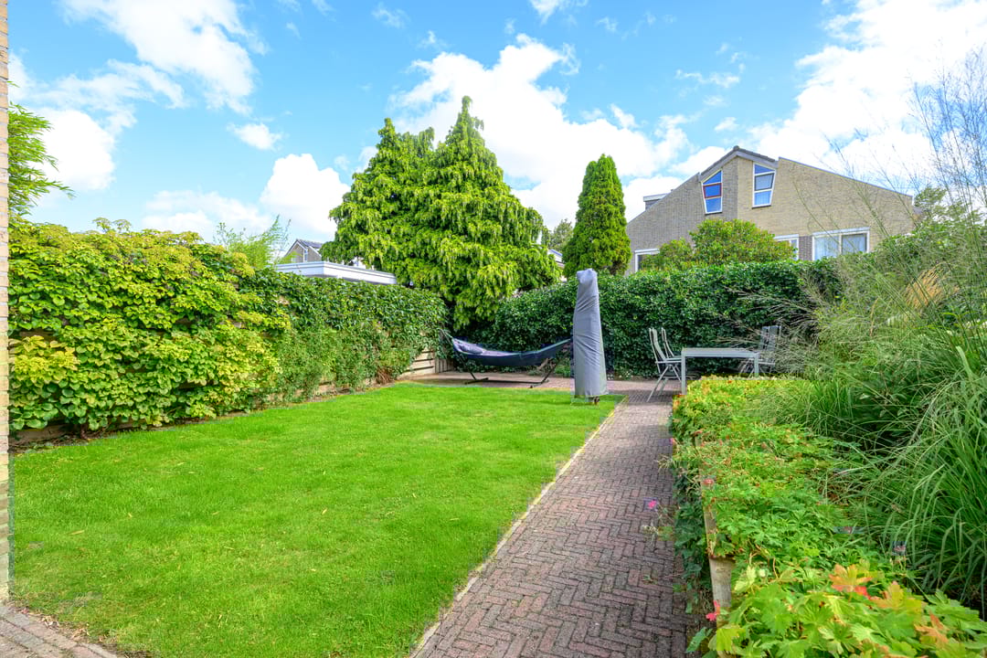 Foto 2 van Keizerfazant 21