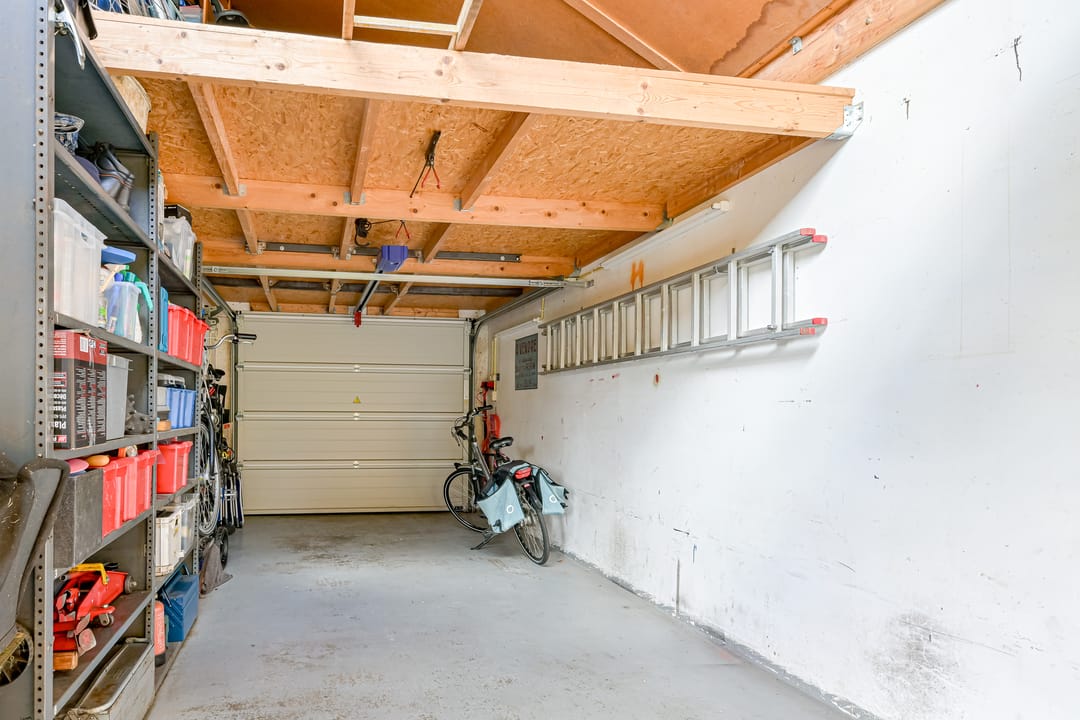 Foto 16 van Keizerfazant 21