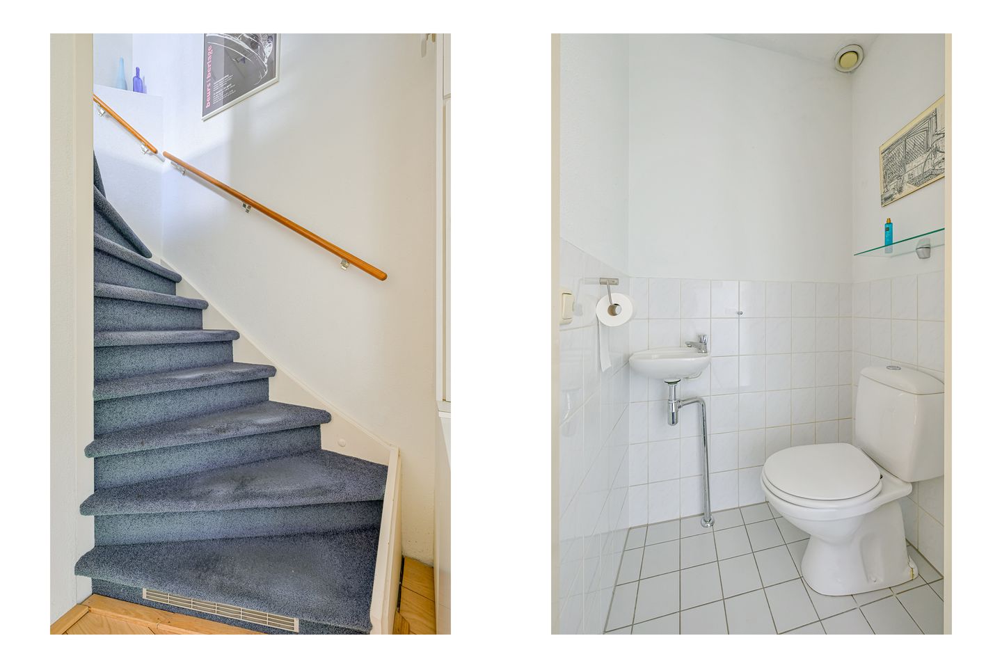 Foto 19 van Keizerfazant 21