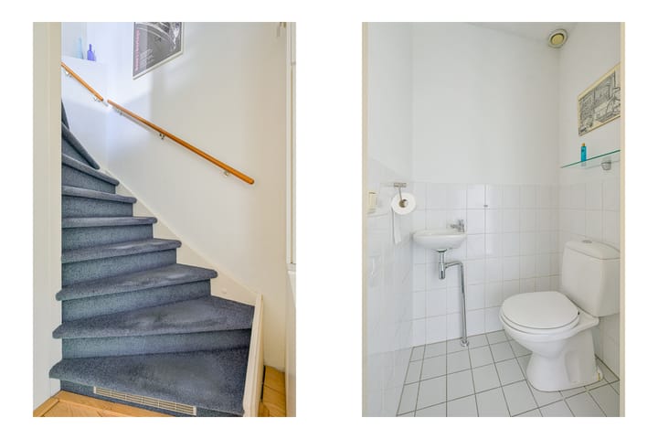 Foto 19 van Keizerfazant 21