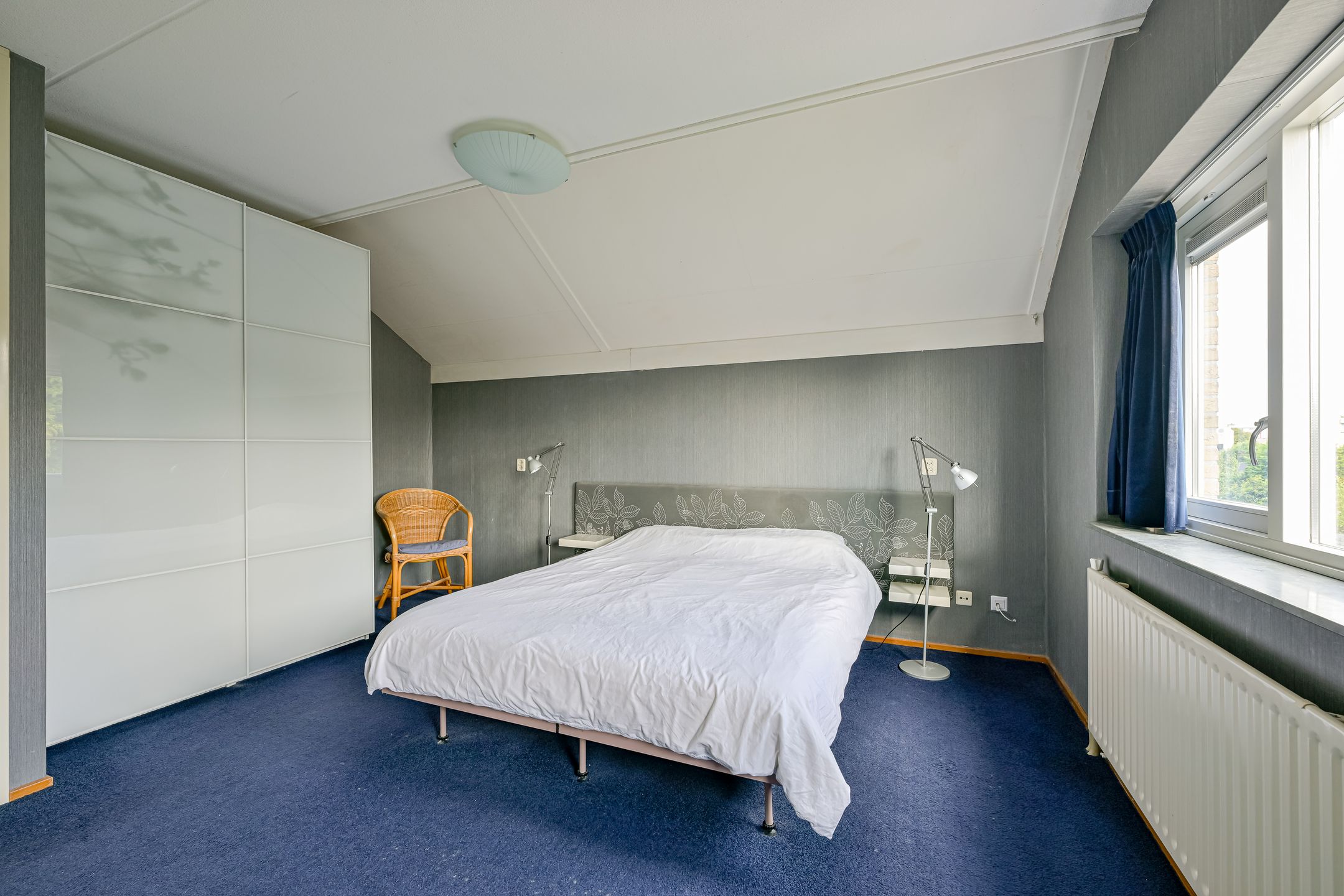 Foto 21 van Keizerfazant 21