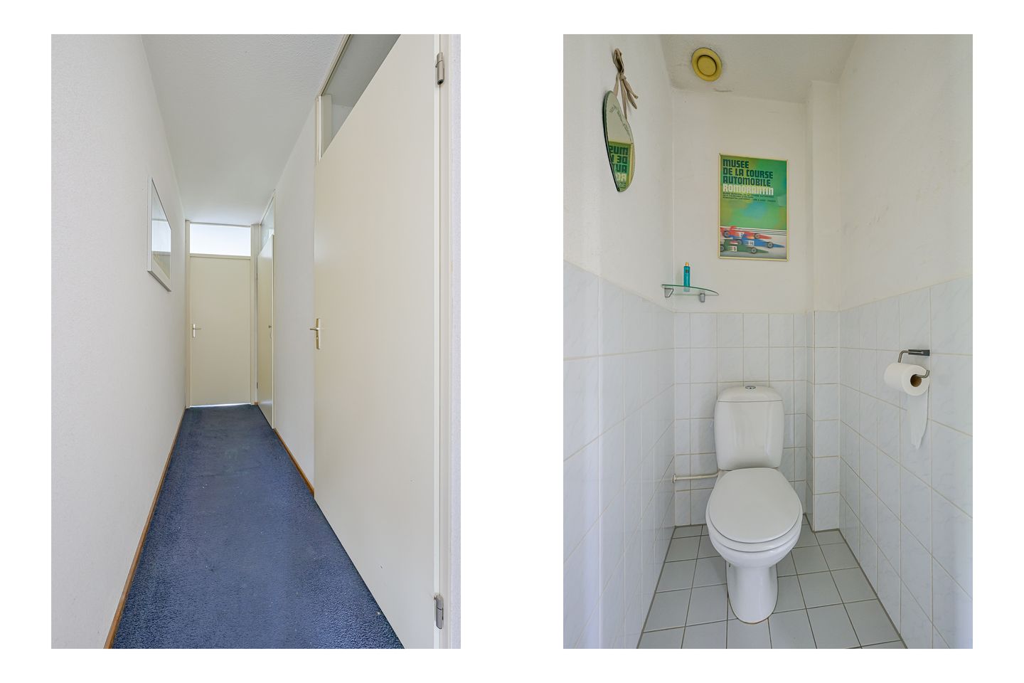 Foto 29 van Keizerfazant 21