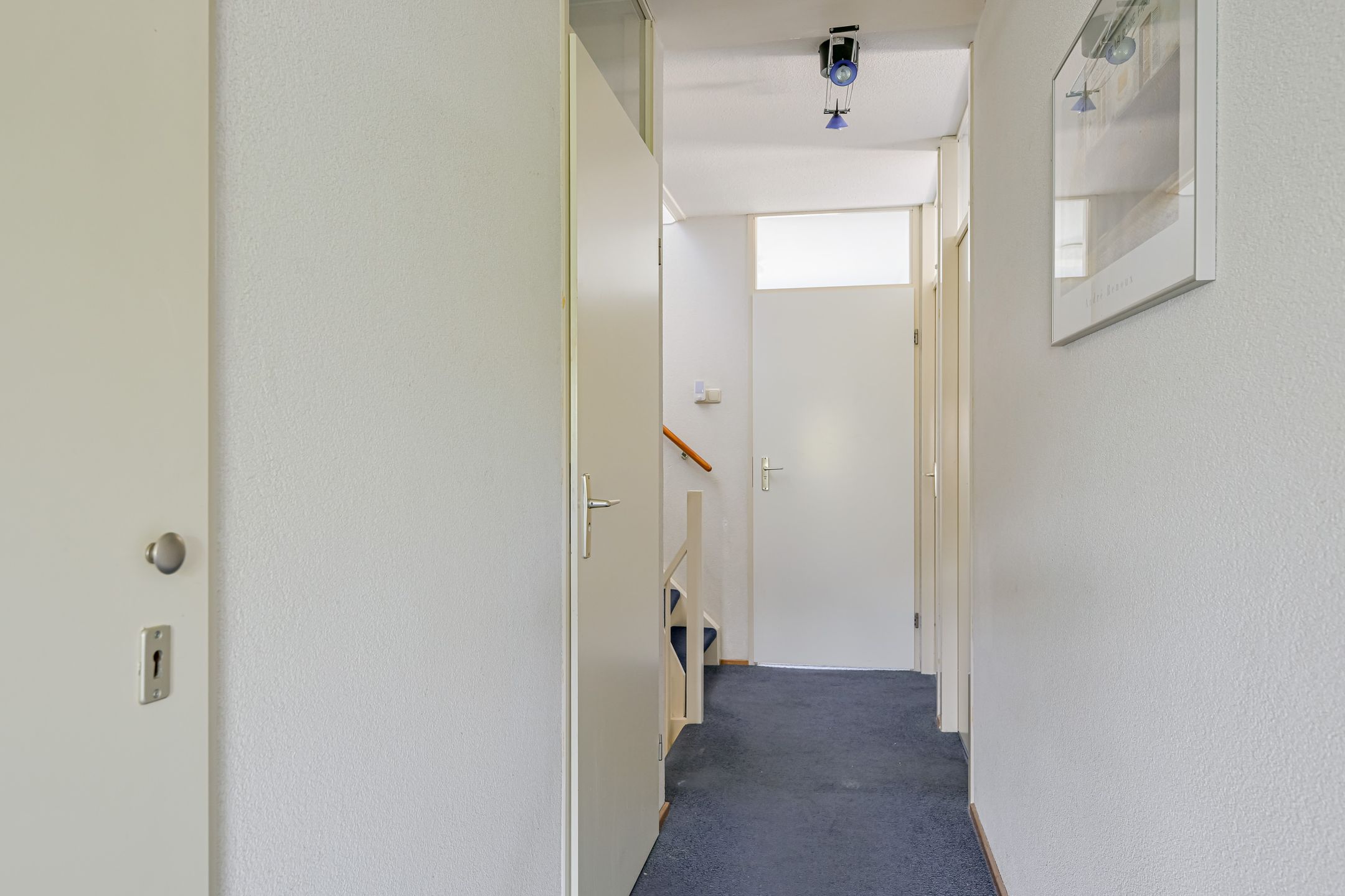 Foto 30 van Keizerfazant 21