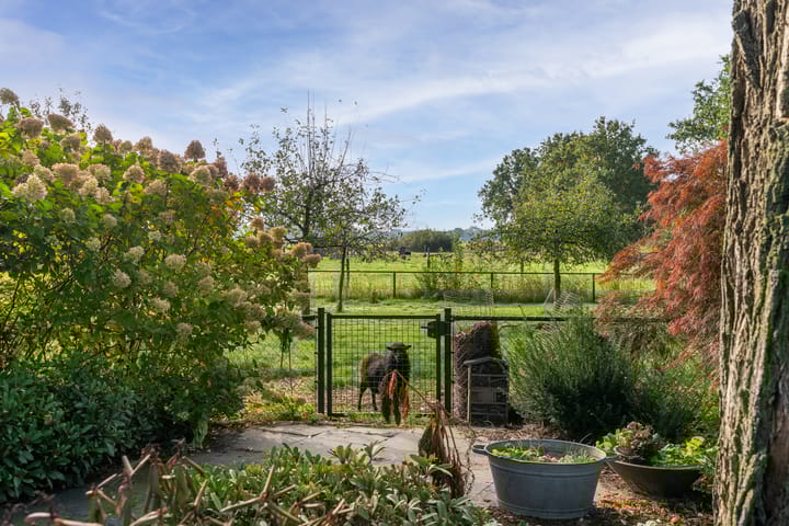 Foto 31 van Kastanjelaan 28