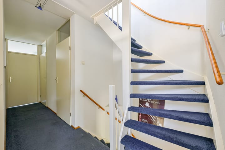 Foto 31 van Keizerfazant 21