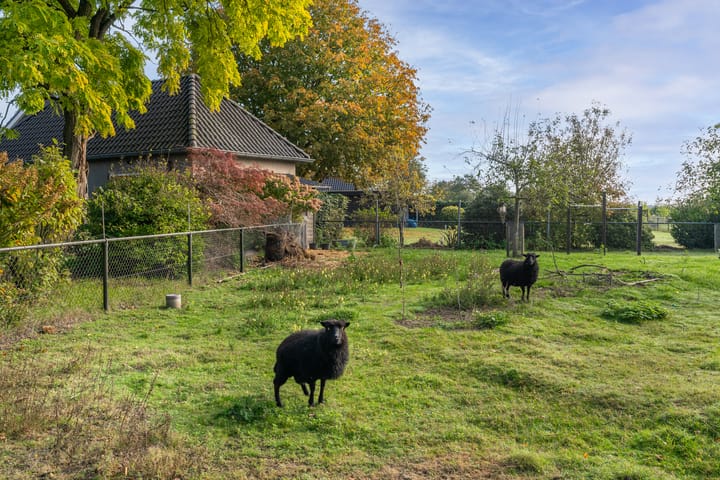 Foto 32 van Kastanjelaan 28