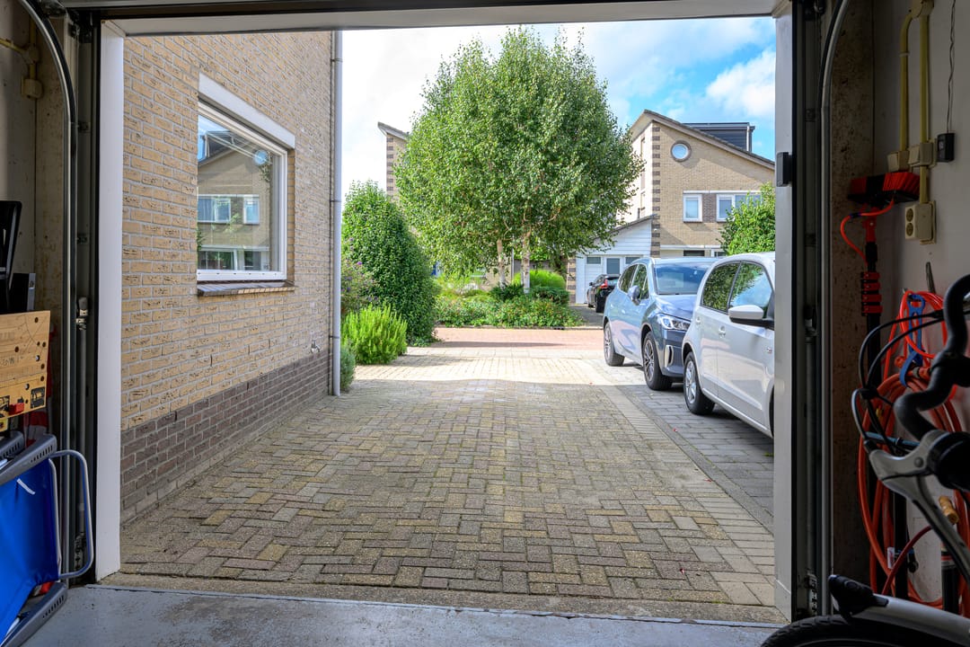 Foto 37 van Keizerfazant 21