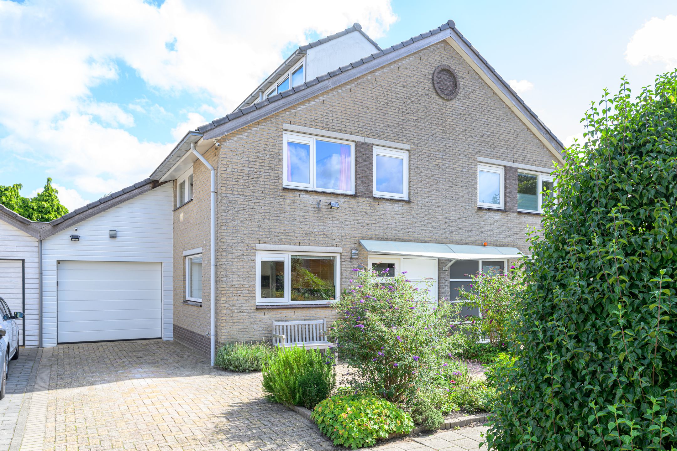 Foto 39 van Keizerfazant 21