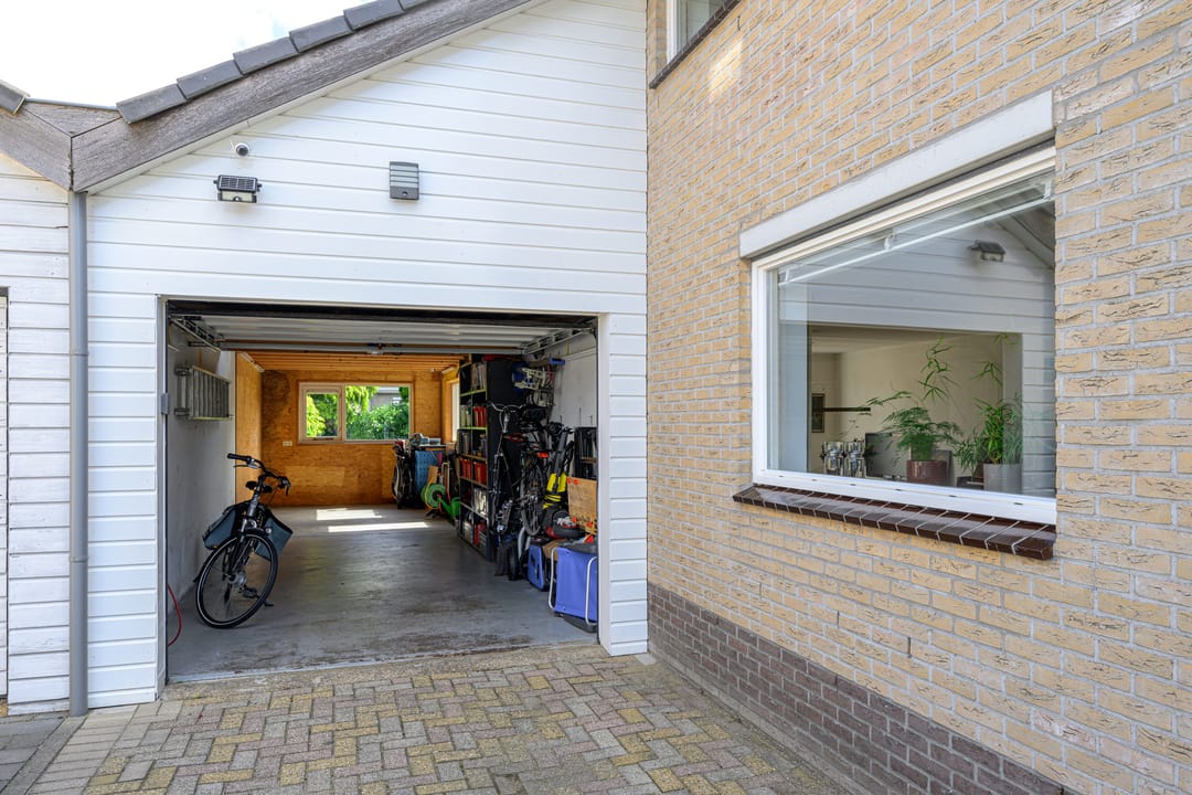 Foto 38 van Keizerfazant 21