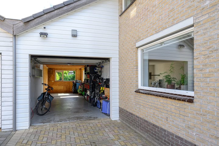 Foto 38 van Keizerfazant 21