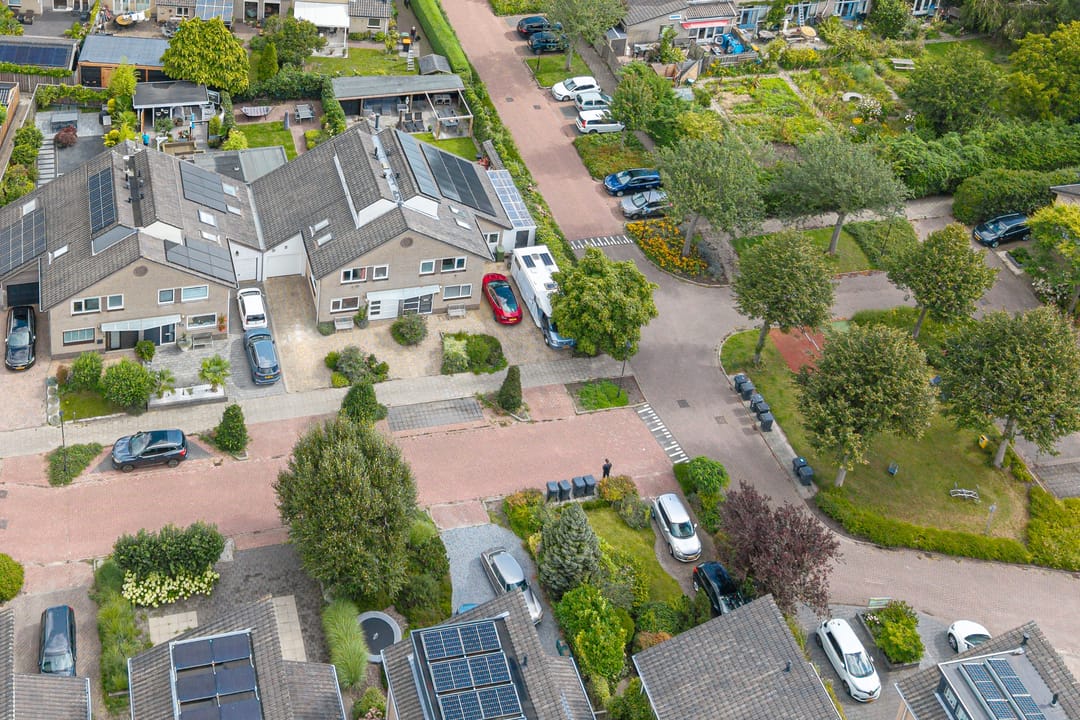 Foto 41 van Keizerfazant 21