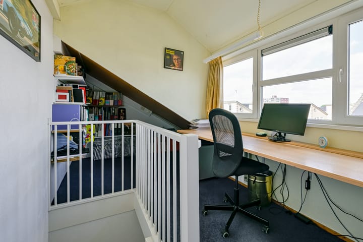 Foto 35 van Keizerfazant 21