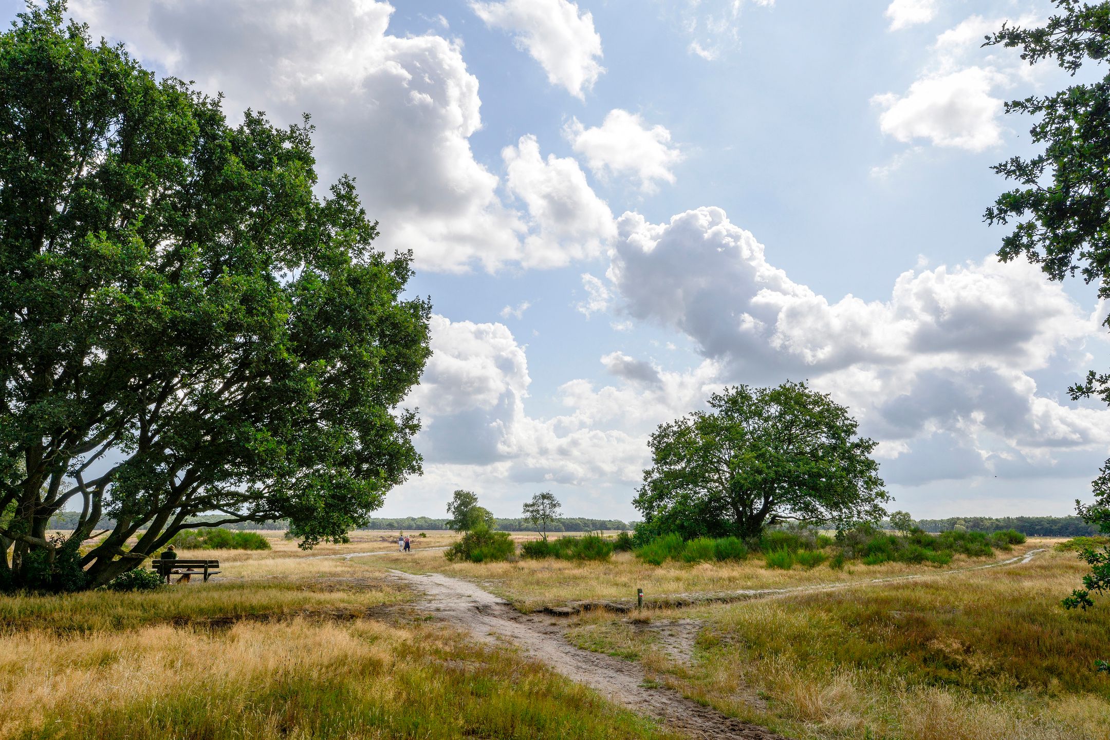 Foto 18 van Lange Heul 572