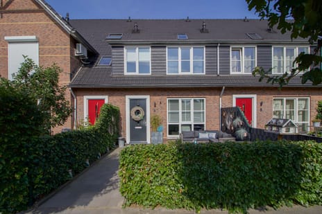 undefined main image