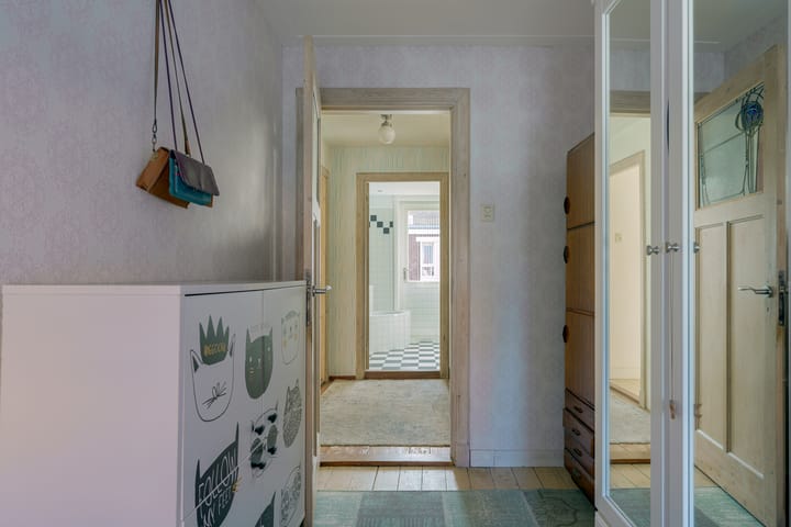 Foto 31 van Anemonestraat 43