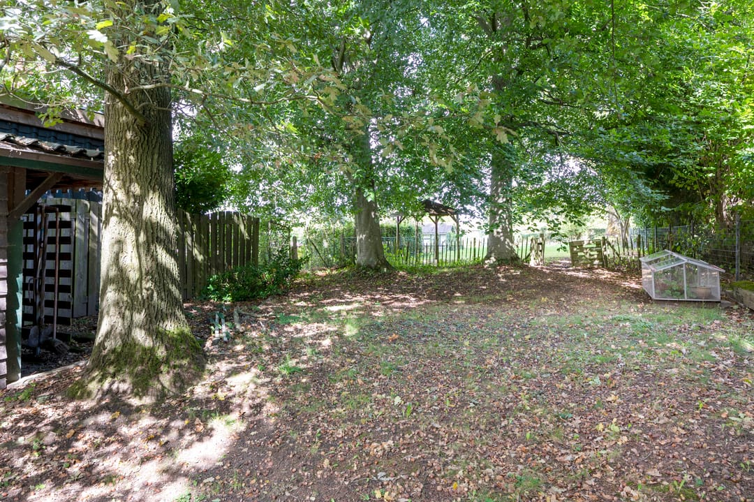 Foto 41 van Scheulderdorpsstraat 65