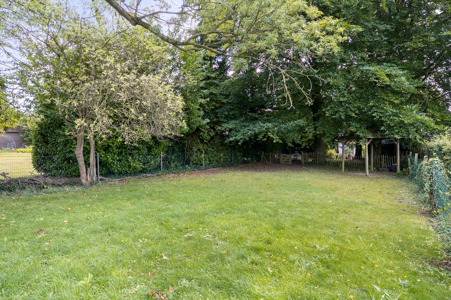 Foto 44 van Scheulderdorpsstraat 65