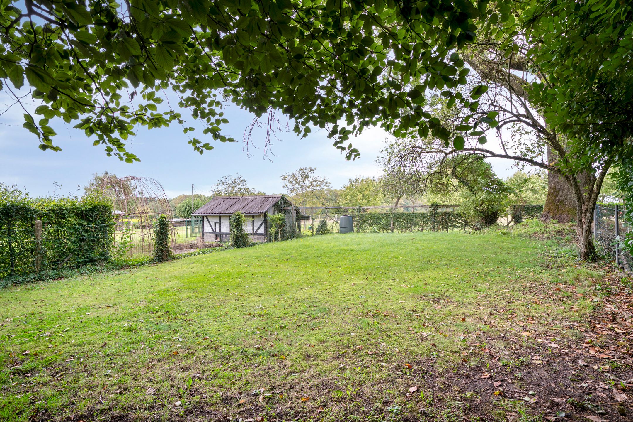 Foto 45 van Scheulderdorpsstraat 65