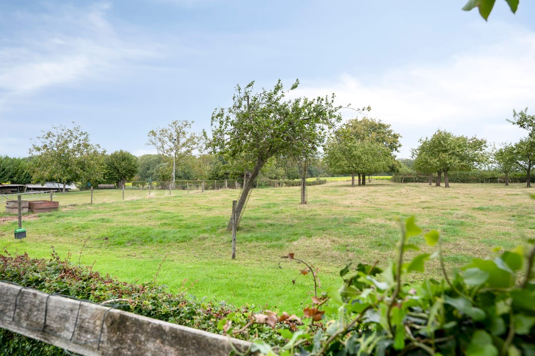 Foto 46 van Scheulderdorpsstraat 65