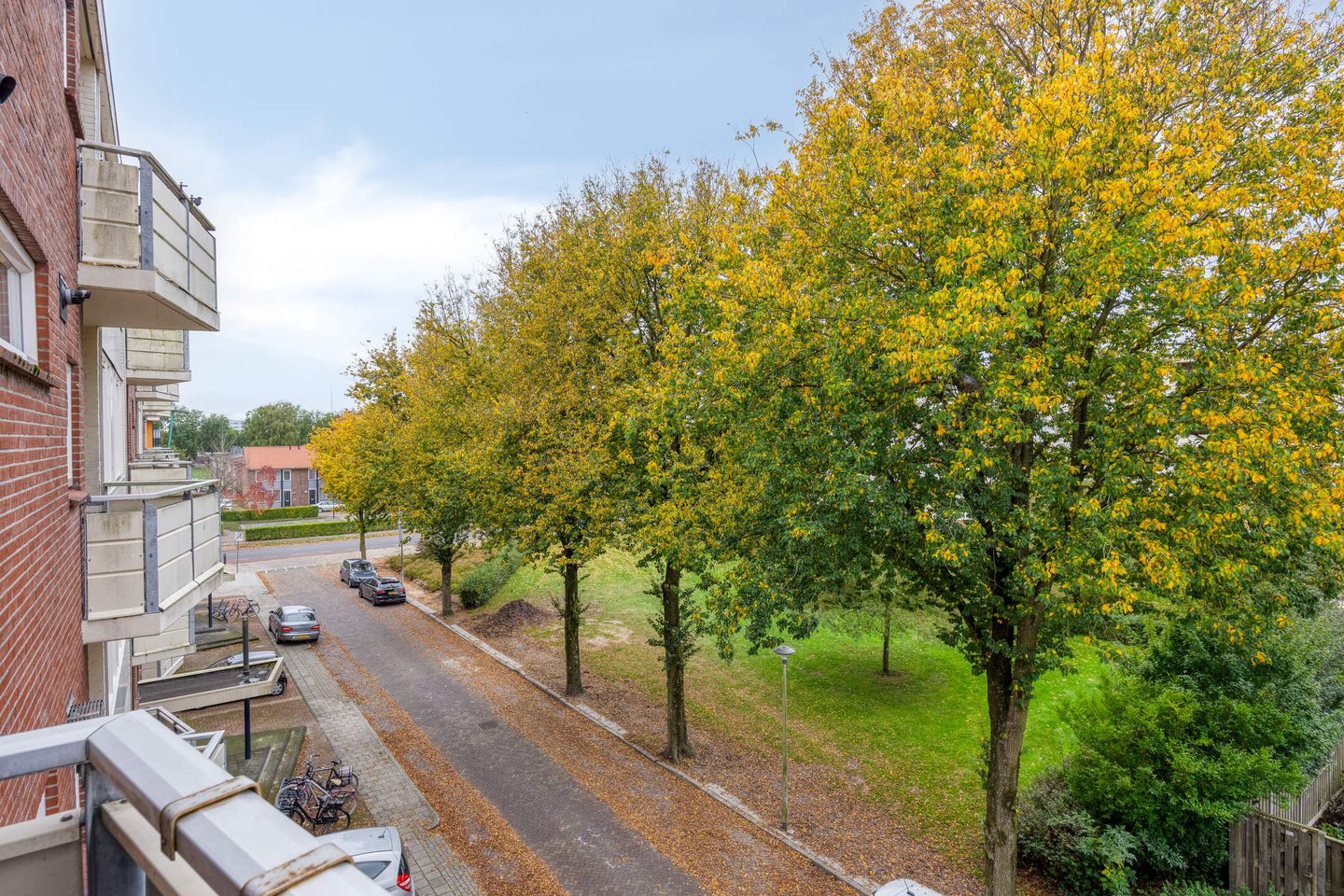 Foto 20 van Jan van Goyenstraat 34