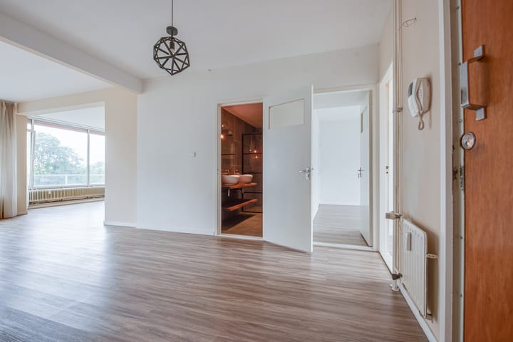 Foto 10 van Vlaskamp 494