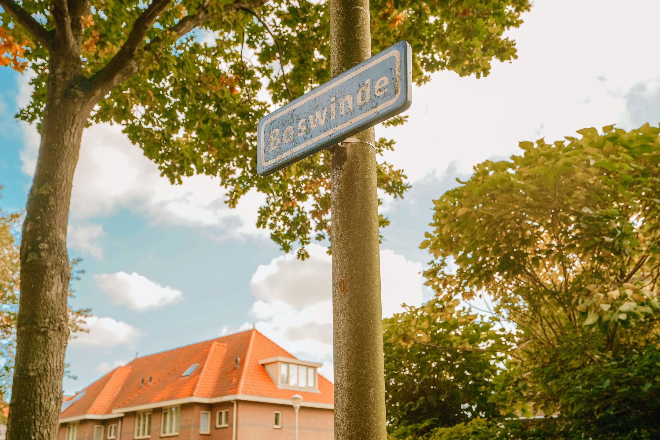 Photo 9 of Boswinde 47